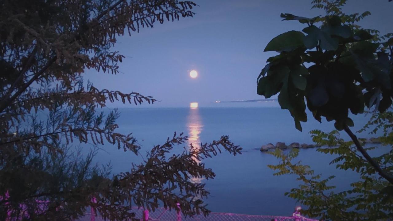 Villa Marinella フォッサチェージア エクステリア 写真